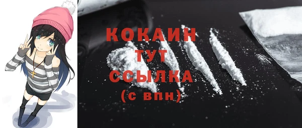 PSILOCYBIN Горняк