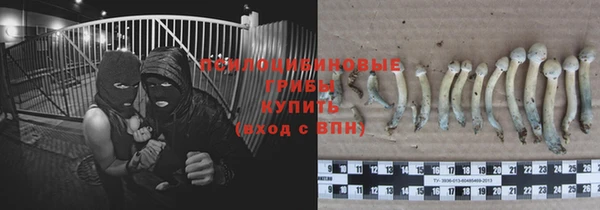 PSILOCYBIN Горняк