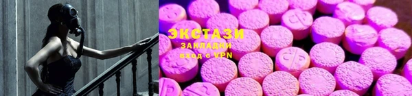 тгк Пересвет