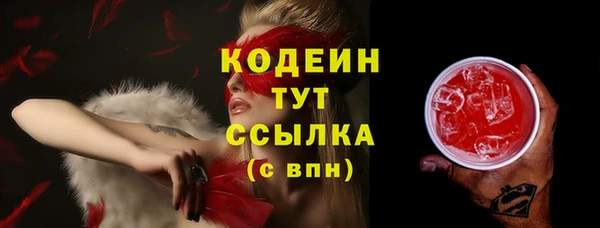 PSILOCYBIN Горняк