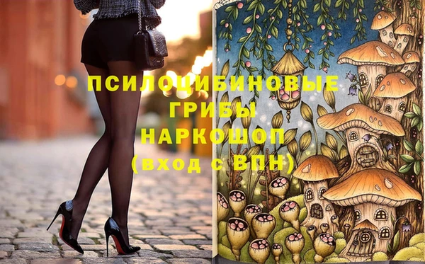 PSILOCYBIN Горняк