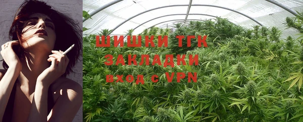 PSILOCYBIN Горняк