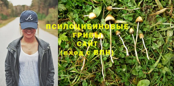 сатива Гусь-Хрустальный