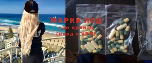 PSILOCYBIN Горняк