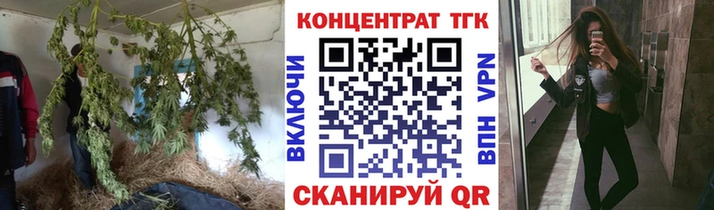 Купить закладки  Кимовск  Дистиллят ТГК концентрат 