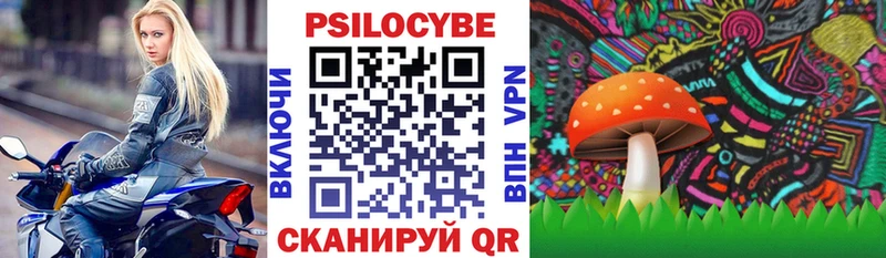 Купить закладки  Кимовск  Галлюциногенные грибы Psilocybine cubensis 
