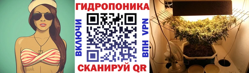 Купить закладки  Кимовск  Бошки Шишки гибрид 